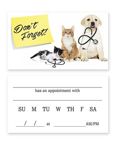 Pet Appointment Cards (w/stethescope)